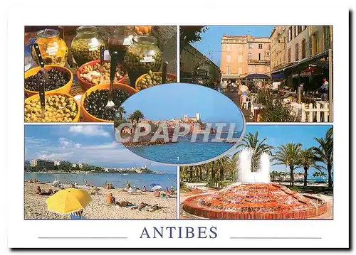 Cartes postales moderne Couleurs et Lumiere de France la Cote d'Azur Antibes (A Mmes) Les remparts et la vieille viiel l