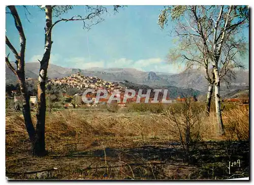 Cartes postales moderne Couleurs et Lumiere de France La Cote d'Azur miracle de la nature Cagnes sur mer (A M) vue gener