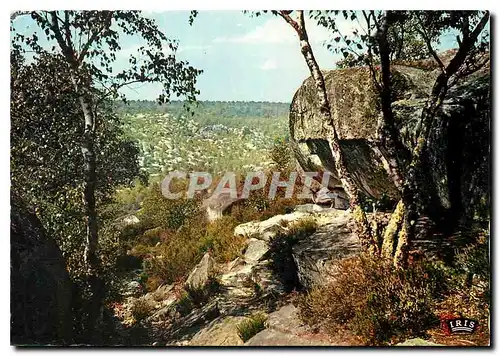 Moderne Karte En Foret de Fontainebleau (Seine et Marne) aux gorges Franchard La Roche de Jean Goujon