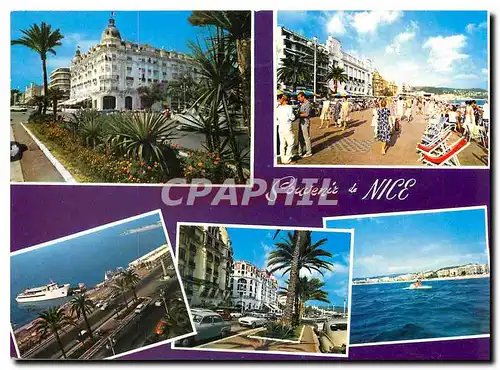 Cartes postales moderne La Cote d'Azur Nice