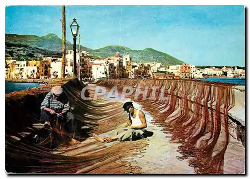 Cartes postales moderne Ischia Pecheurs