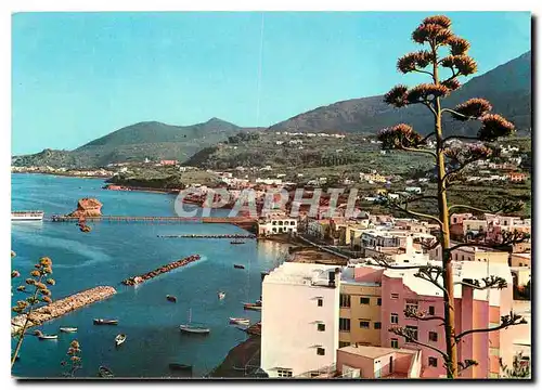 Cartes postales moderne Lacco Ameno La plage et le Champignon