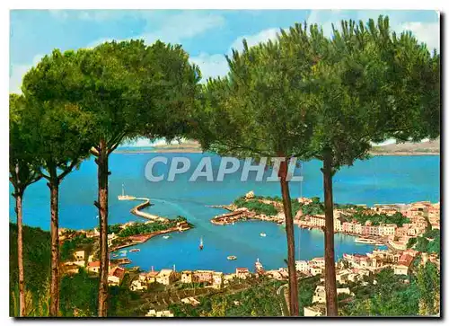 Cartes postales moderne Ischia Le Havre