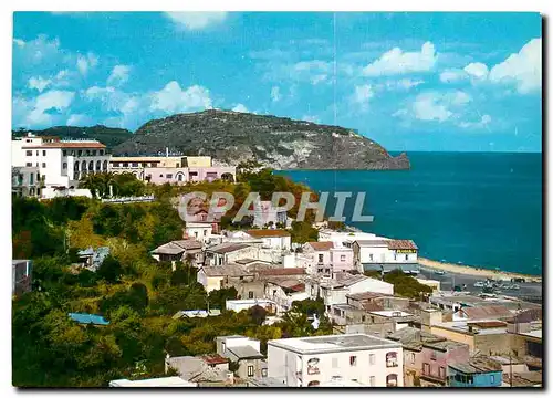 Cartes postales moderne Casamicciola Terme Ile d'Ischia Panorama