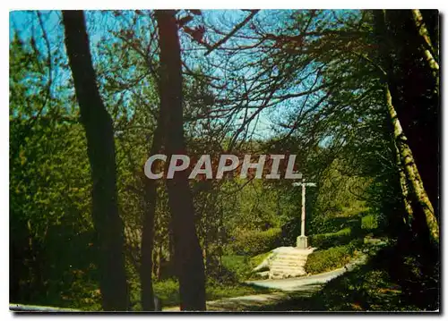 Cartes postales moderne Environs de Bagnoles de l'Orne Saint Ortaire (Orne) La croix sous le soleil d'Avril