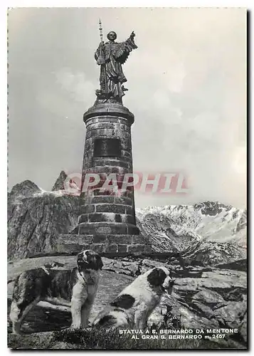 Cartes postales moderne Statua Bernardo da Mentone Chiens St Bernard