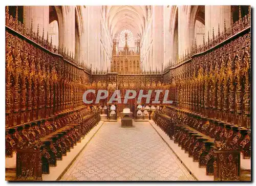 Cartes postales moderne Cathedrale d'Auch ensemble des 113 stalles