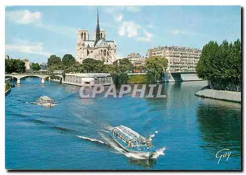 Cartes postales moderne Paris et ses Merveilles La seine et le cheval de la cathedrale Notre Dame de Paris (1163 1260)