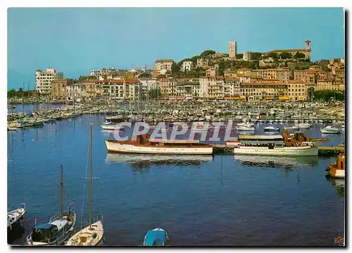 Moderne Karte Cannes Vue generale sur le Surquet et un coin du Port