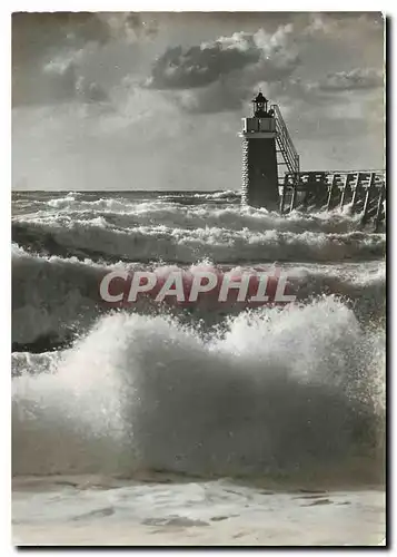 Cartes postales moderne Les Landes de Gascogne Maurice Martin Phare