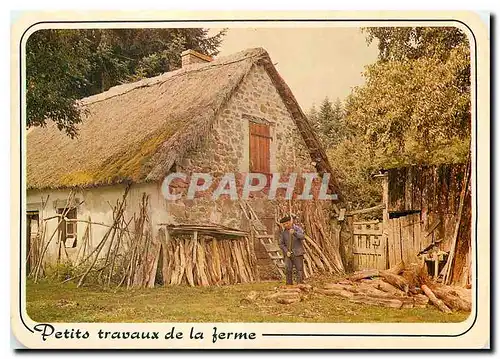 Cartes postales moderne Petits travaux de la ferme