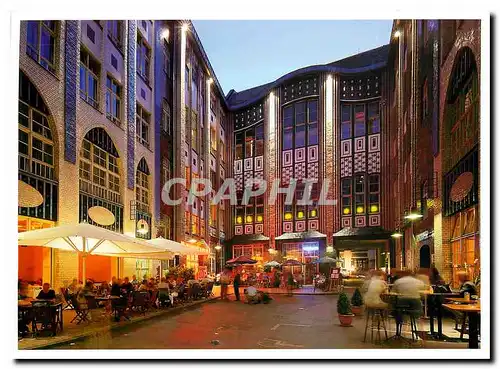 Cartes postales moderne Berlin Hackesche Hofe