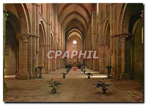 Cartes postales moderne Abbazia di Fossanova sec XIII interno Abbaye de Fossanova XIIIs interieur