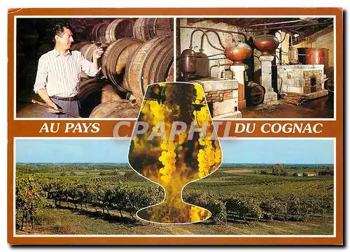 Moderne Karte Cognac (Charente) Maitre de Chat et distillerie de Cognac le Vignoble Charentais