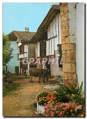 Cartes postales moderne Couleurs et Lumiere de France Pays Basque Fermes pittoresques au Pays Basque