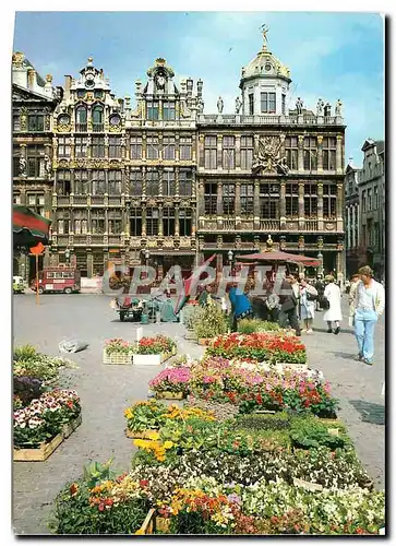 Moderne Karte Brussels Grand Place et Marche aux fleurs