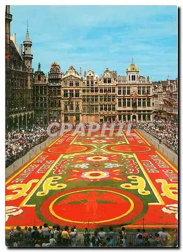 Cartes postales moderne Brussels Grand Place Tapis des fleurs