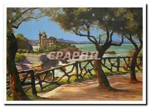 Cartes postales moderne Biarritz Le Chateau Basque et la Chaine des Pyrenees