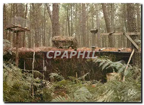 Moderne Karte Landes La palombiere en foret