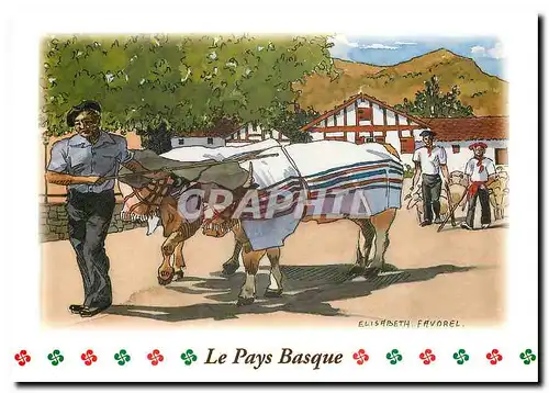 Cartes postales moderne Le Pays Basque Aquarelle Elisabeth Favorel