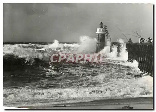 Cartes postales moderne Les Landes de Gascogne Maurice Martin