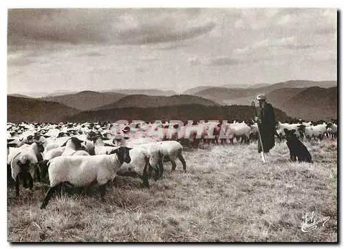 Cartes postales moderne Les Vieux Metiers Le Berger Les Vosges
