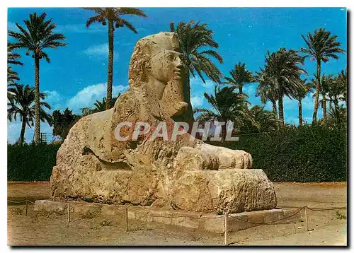 Cartes postales moderne Giza The Sphinx of Sakkara