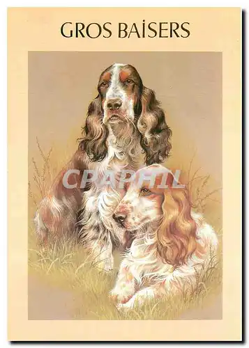 Cartes postales moderne Gros Baisers Chien