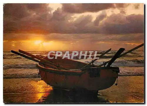 Cartes postales moderne Coucher de Soleir sur la Cote