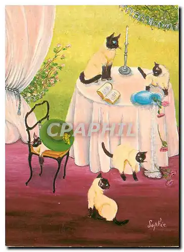 Moderne Karte Sophie Les Chatons Chat Chaton