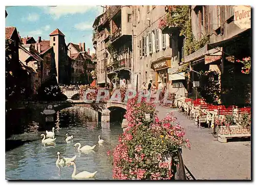 Cartes postales moderne La Lac d'Annecy Terre de Beaute