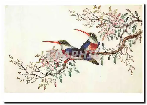 Cartes postales moderne Vogels Birds from an album with Chinese paintings