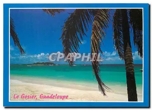 Cartes postales moderne La Gosier Guadeloupe