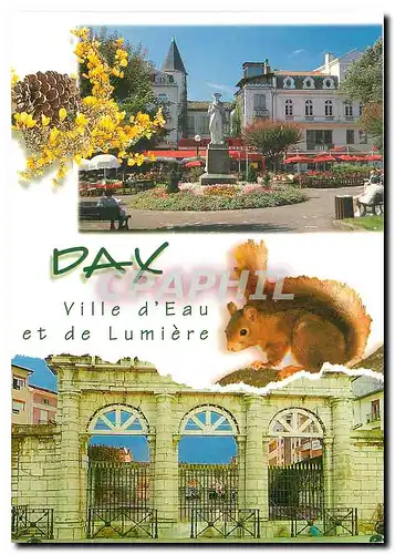 Cartes postales moderne Dax Ville d'Eau et de Lumiere