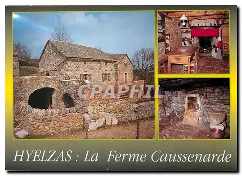 Cartes postales moderne Hyelzas La Ferme Caussenarde