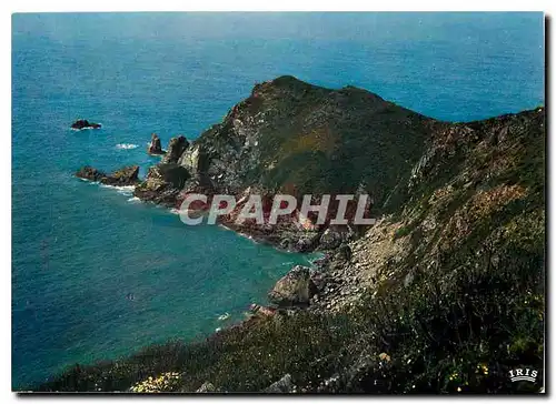 Cartes postales moderne Environs de Cherbourg Manche Le Nez de Jobourg