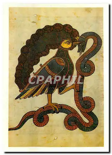 Cartes postales moderne Musee des Jacobins Saint Sever Landes