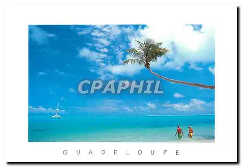 Cartes postales moderne Guadaloupe Antilles