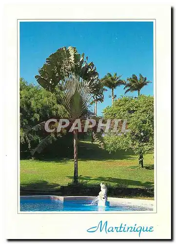 Cartes postales moderne La Martinique Plantataion de Leyritz