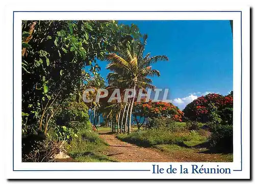 Moderne Karte Ile de la Reunion Cocotiers a Sainte Marie
