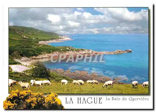 Moderne Karte La Hague Manche La Baie de Querviere