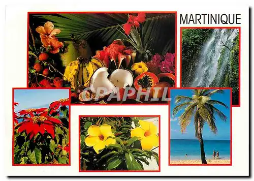 Cartes postales moderne Martinique