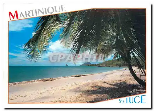 Cartes postales moderne Martinique Ste Luce