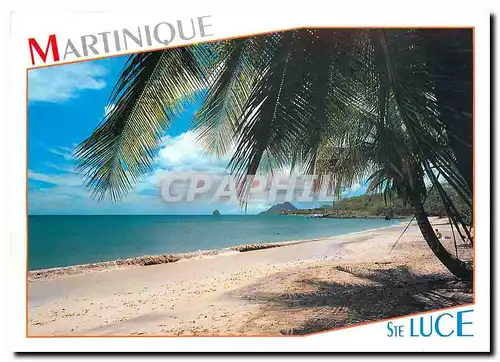 Moderne Karte Martinique Ste Luce