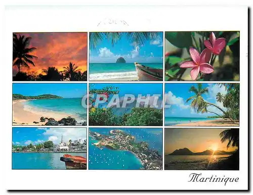 Cartes postales moderne Martinique Panorama Un ciel de feu
