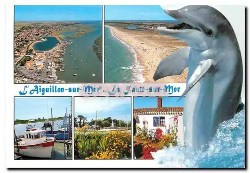 Cartes postales moderne L'Aiguillon sur Mer La Faute sur Mer