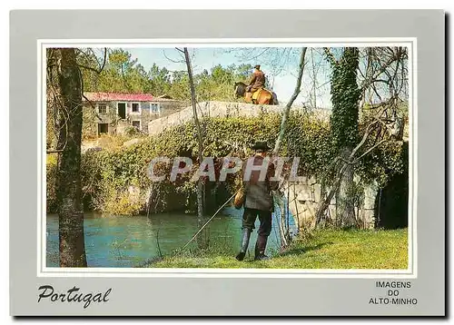 Cartes postales moderne Portugal Alto Minho Cena Campestre