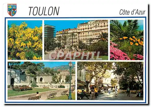 Cartes postales moderne Toulon Cote d'Azur