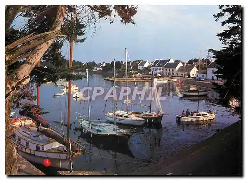 Cartes postales moderne Le Golfe du Morbihan Le Petit port du Logec dans la Presqu'ile de Rhuys