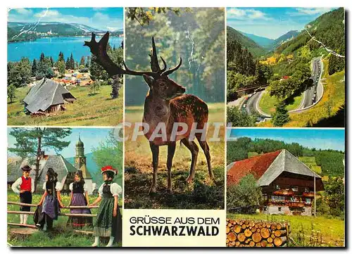 Moderne Karte Grusse Aus Dem Schwarzwald